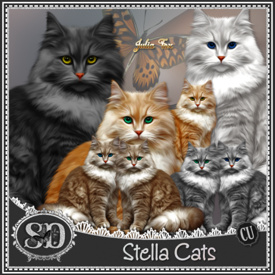 Stella Cats - Click Image to Close