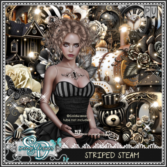 Striped Steam Kit Match - Click Image to Close