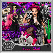 Sugar Skull Kit