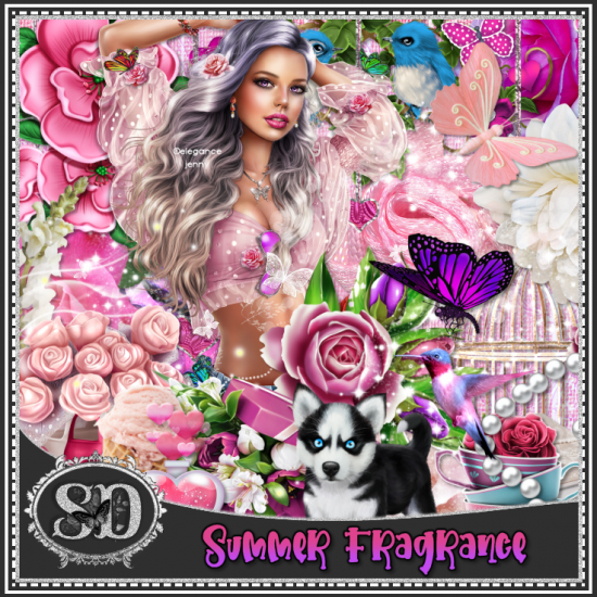 Summer Fragrance Kit - Click Image to Close