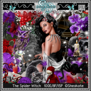 The Spider Witch Kit