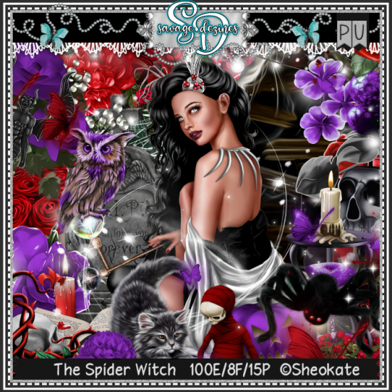 The Spider Witch Kit - Click Image to Close