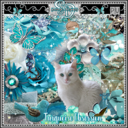Turquoise Obsession Kit