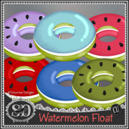 Watermelon Floatie 1