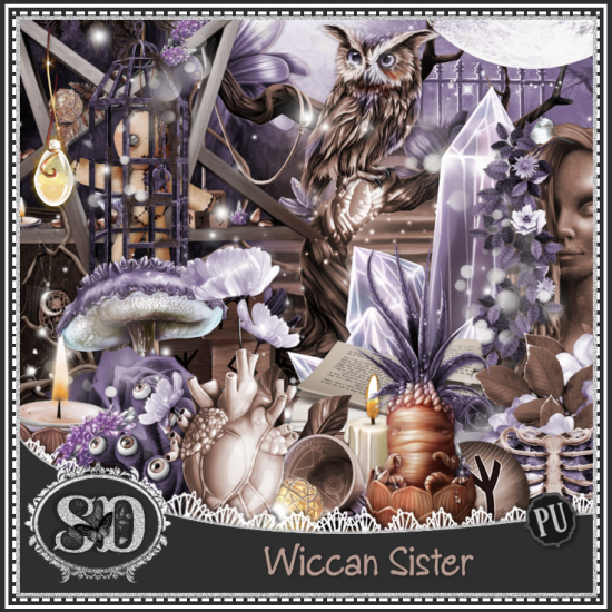 Wiccan Sister Kit - Click Image to Close