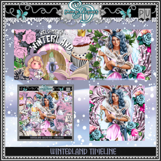 Winterland TL - Click Image to Close