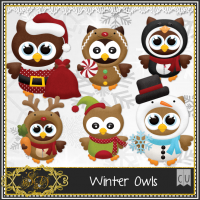 Winter Owls