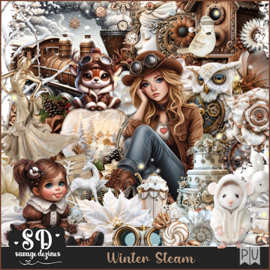 Winter Steam Kit - Click Image to Close