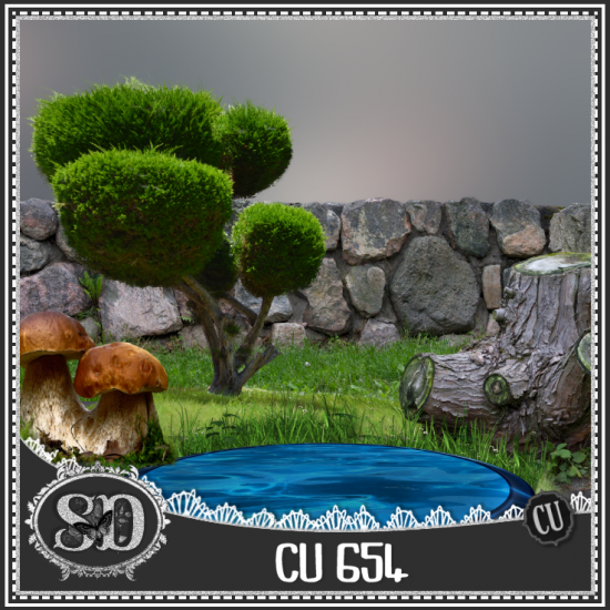 CU PACK 654 - Click Image to Close