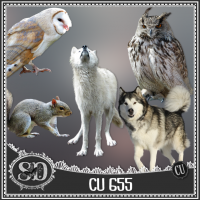 CU PACK 655