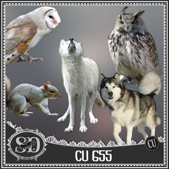 CU PACK 655 - Click Image to Close