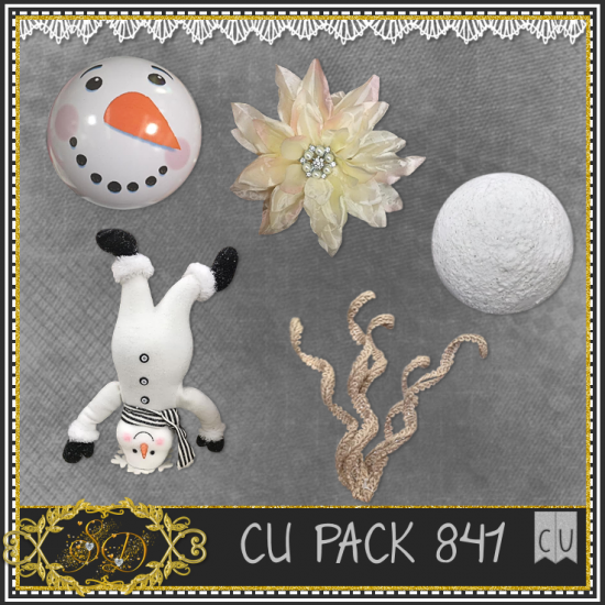 CU PACK 841 - Click Image to Close