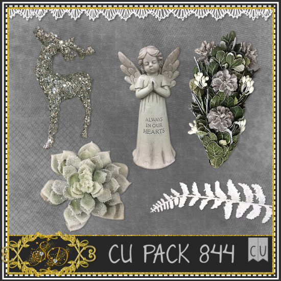 CU PACK 844 - Click Image to Close