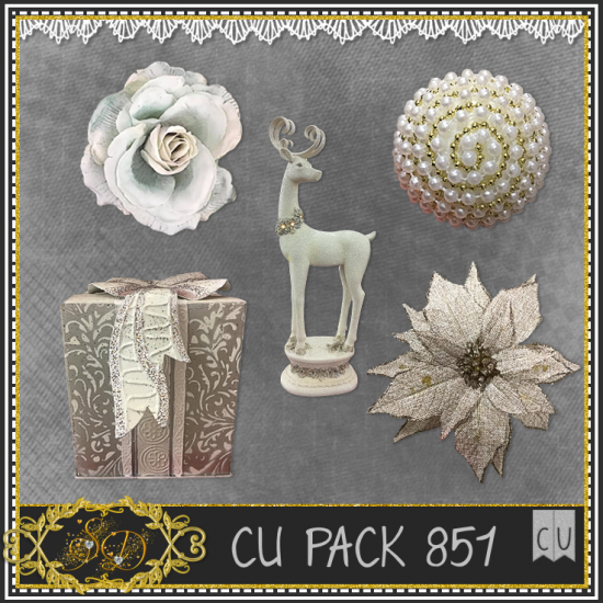 CU PACK 851 - Click Image to Close