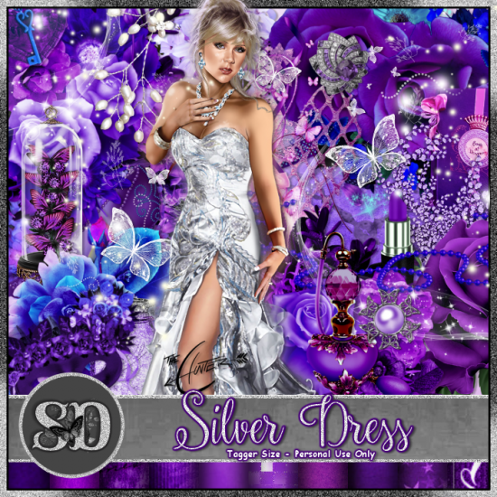 Silver Dress Kit - Click Image to Close