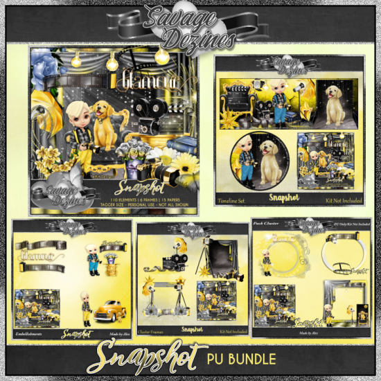 Snapshot Bundle - Click Image to Close