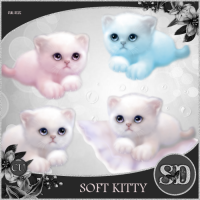 Soft Kitty