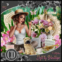 Softly Vintage