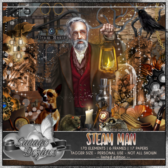 Steam Man Kit - Click Image to Close