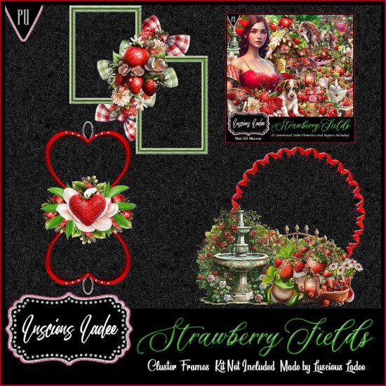 Strawberry Fields Cluster Frames - Click Image to Close