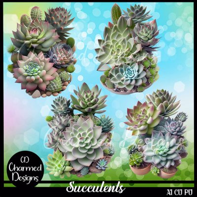 Succulents