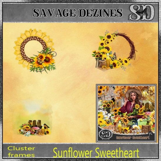 Sunflower Sweetheart CF 1 - Click Image to Close