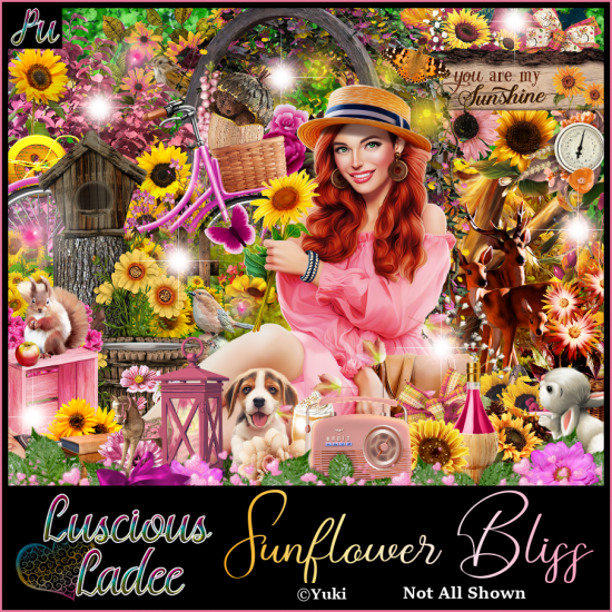 Sunflower Bliss - Click Image to Close