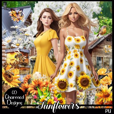 Sunflowers 1