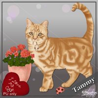 Tammy