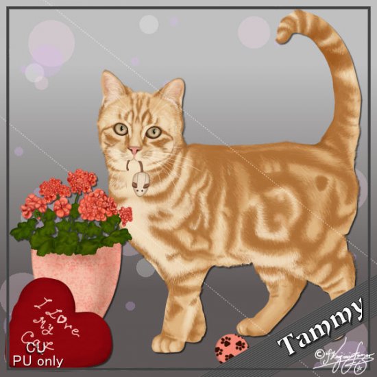 Tammy - Click Image to Close