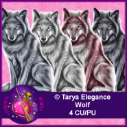 Tarya Jennifer Package 3