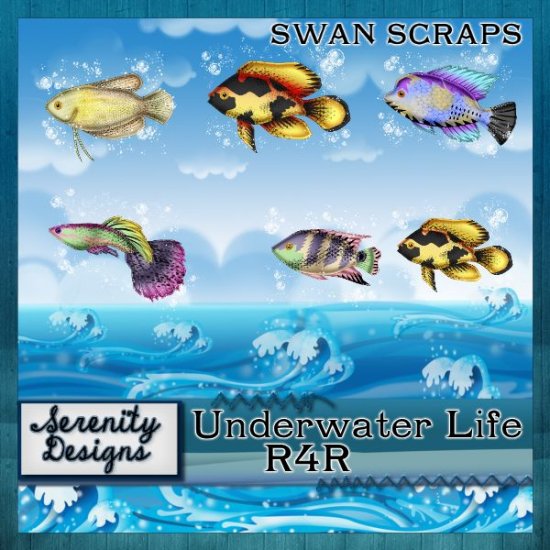 SD-UNDERWATER LIFE R4R - Click Image to Close