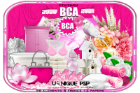 BCA