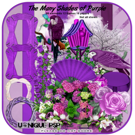 The Many Shades of Purple - Click Image to Close