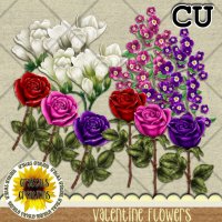 Valentine Flower Pack