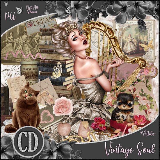 Vintage Soul - Click Image to Close