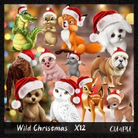 Wild Christmas