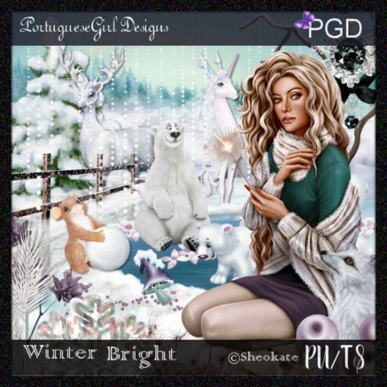 Winter Bright - Click Image to Close