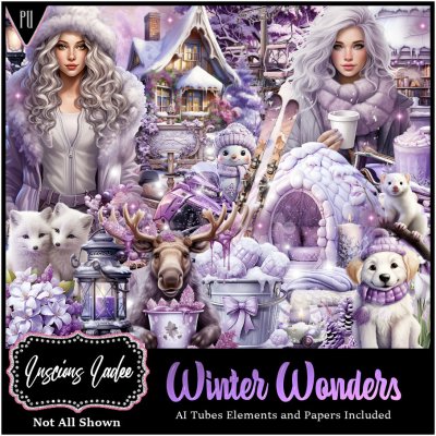 Winter Wonders