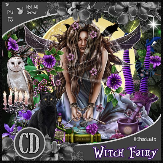 Witch Fairy - Click Image to Close