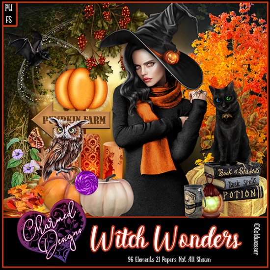 Witch Wonders - Click Image to Close