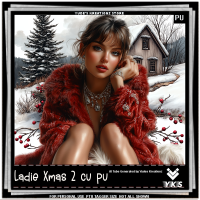 Ladie Xmas 2 cu pu