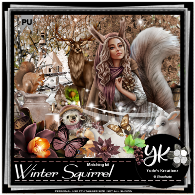 Winter Squirrel