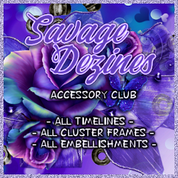 Accessory Club - Click Image to Close
