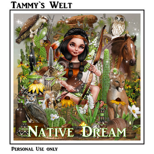 Native Dream - Click Image to Close