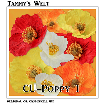 CU Poppy 1 - Click Image to Close